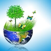 Alfalah Welfare Organization Environment Protection