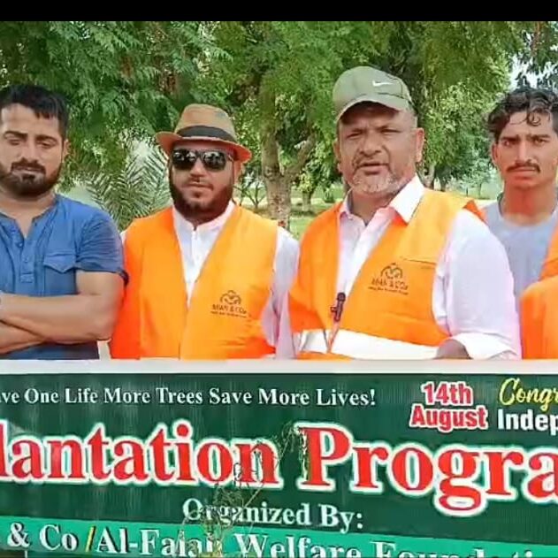 Importance of tree plantation